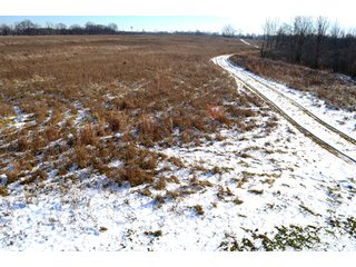 54.7 Acres with 50 tillable and 4.3 wooded.  Surrounded by heavy deer population on CRP land.  Great trophy deer hunting on established food plots.  Hunting tower.

Receive income on tillable acres while abundance of deer hunting on established food plot. - Great Investment Opportunity - Tillable Land, Recreation & Building Site